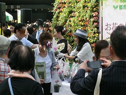 花鉢プレゼント