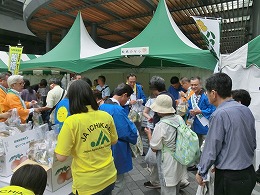 無料サンプリング