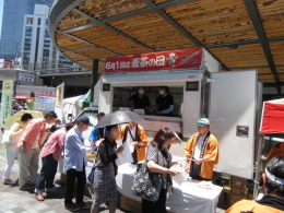 麦茶試飲