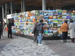 ポスターのパネル展示その1