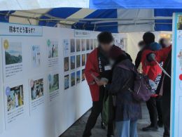 参加者とスタッフの様子