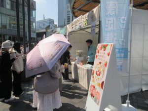 サンプリングに参加する様子